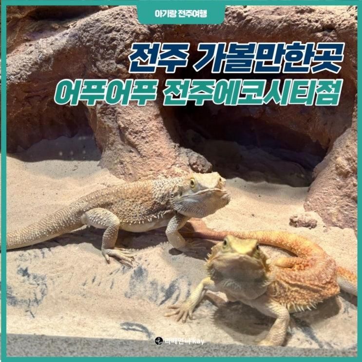 전주파충류체험 (feat. 어푸어푸 전주에코시티점)