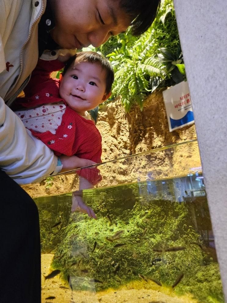 아기랑 실내 여행 : 전주 어푸어푸 에코시티점 다녀오기