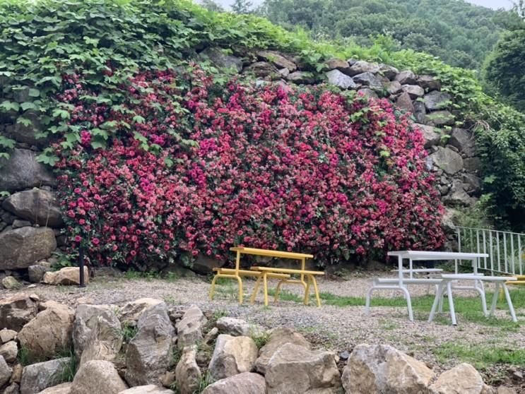 야외 공간이 있는 경기도 광주카페 “송트리타임 콜라주”