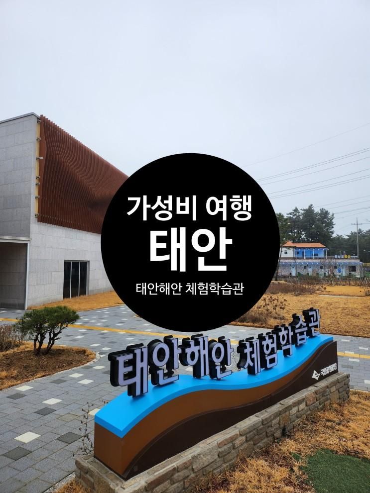 겨울 태안 아이와 비 오는 날 가볼 만한 곳, 태안 해안 체험학습관