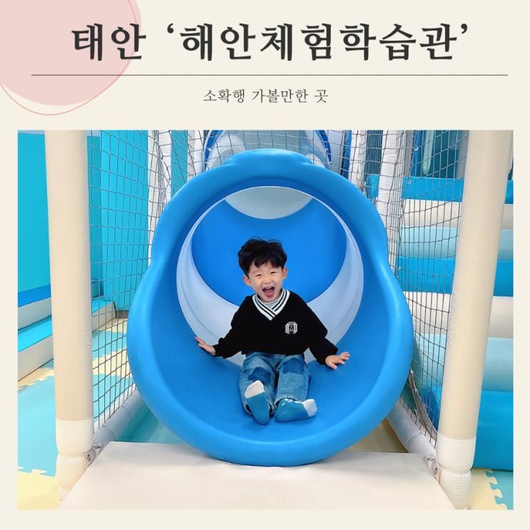 태안 실내 아이와 가볼만한곳 학습관과 무료실내놀이터까지...