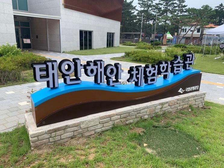 몽산포해수욕장 가볼만한곳 '태안해안체험학습관'