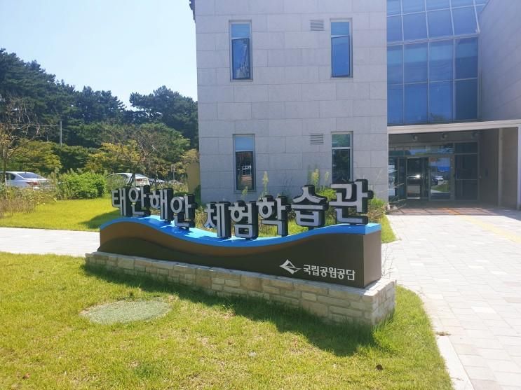 해양생물에 대해 알아볼 수 있는 몽산포 태안 해안체험학습관