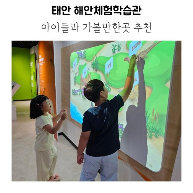 태안 실내 아이들과 가볼만한곳/해안체험학습관 /입장료무료...