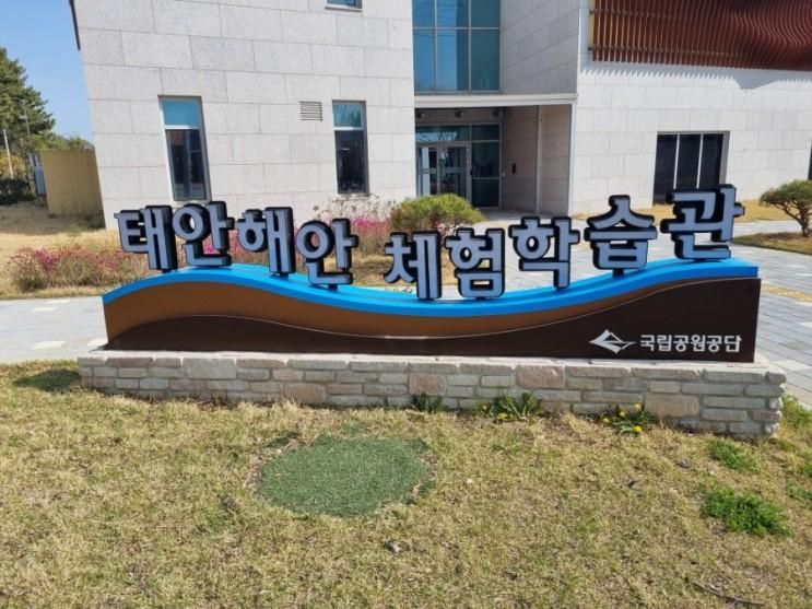 몽산포 해수욕장 앞 태안 해안 체험학습관 구경하기