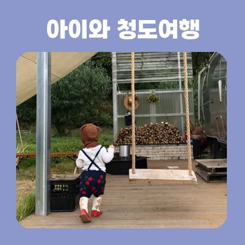 아이와 함께 청도여행/옹치기통닭/브로디캠프/청도 소싸움...