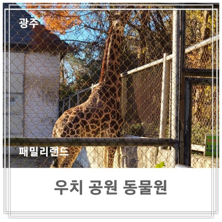 광주 우치공원 동물원 무료입징♡광주패밀리랜드동물원♡광주...