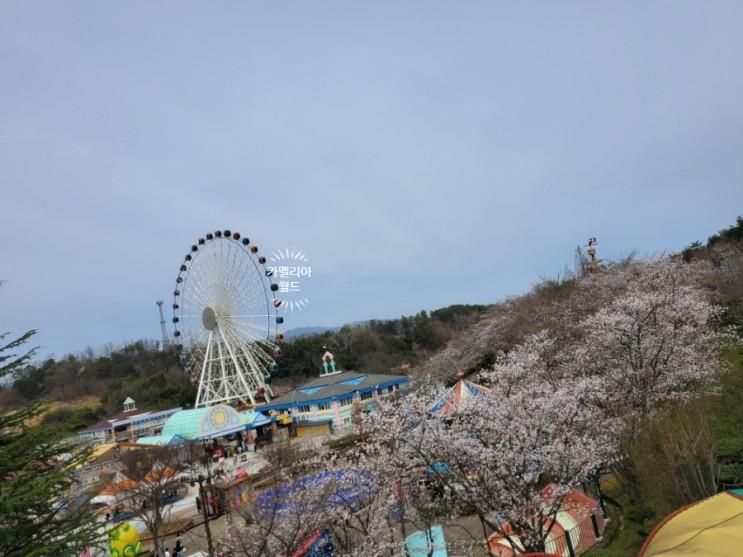 광주패밀리랜드 광주 벚꽃 자유이용권 할인카드  할인정보