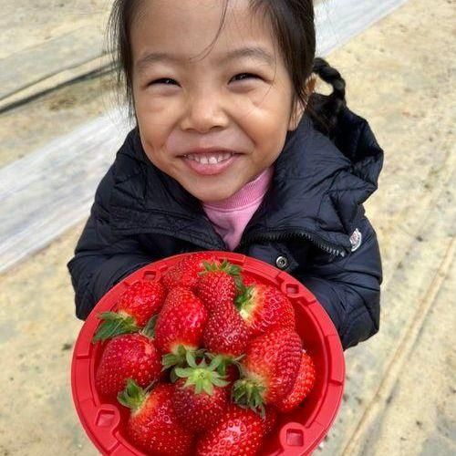 [경기도 양주 / 하나농원] 딸기체험 키즈존 딸기잼만들기...