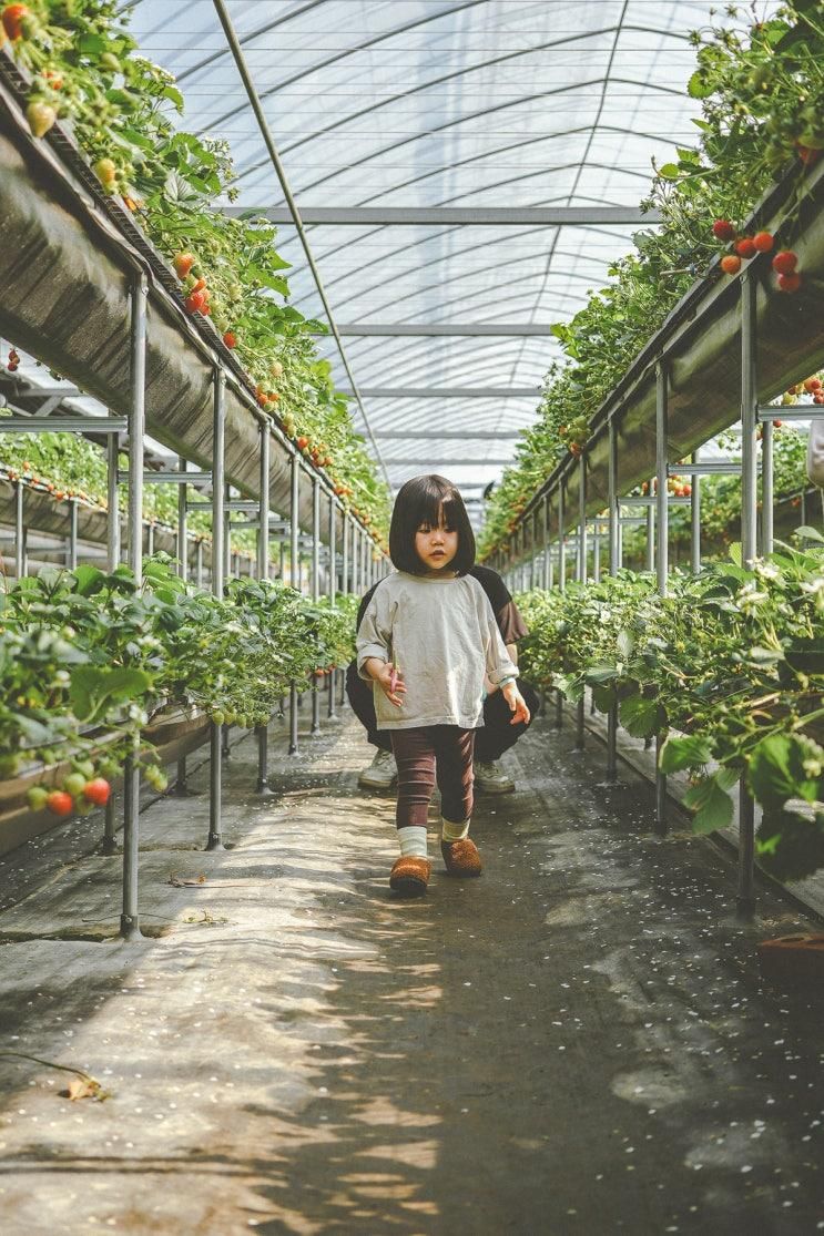 주말 아이랑 나들이 경기도 용인 헤븐온어스 예약없이...