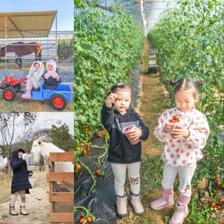 용인 헤븐온어스 겨울 놀거리 체험 가득 시간제한도 없어!