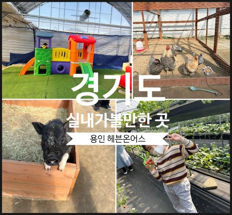 용인 헤븐온어스 경기도 아이와 실내 가볼 만한 곳