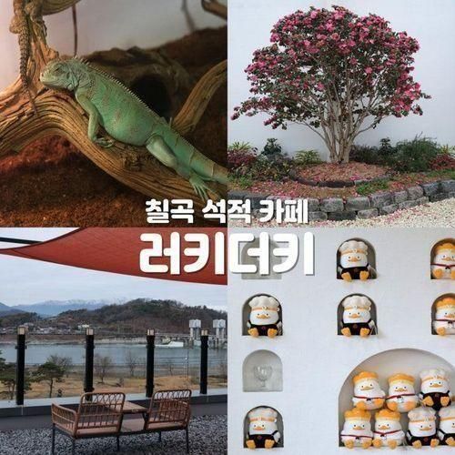 칠곡 카페 러키더키 아쿠아리움 식물원 주차정보