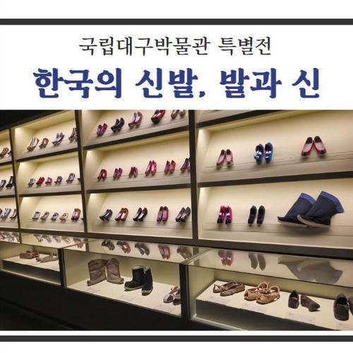 국립 대구박물관 30주년 특별전 후기