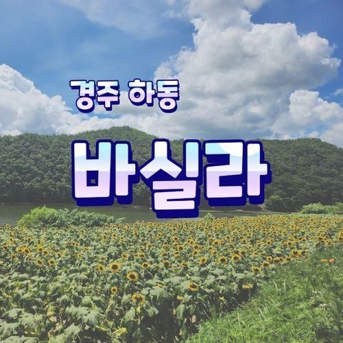 230806_경주 바실라 , 경주 보문단지 대형카페 , 해바라기...