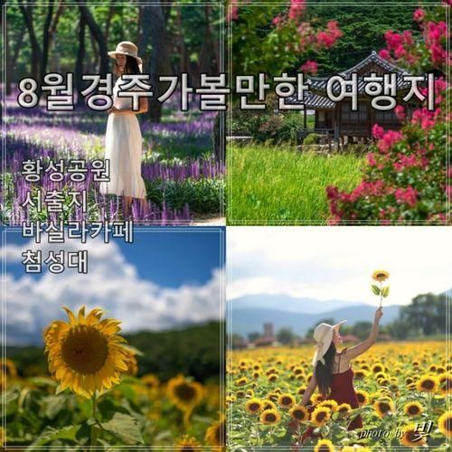 8월 경주가볼만한 여행지 - 황성공원, 서출지, 바실라카페, 첨성대