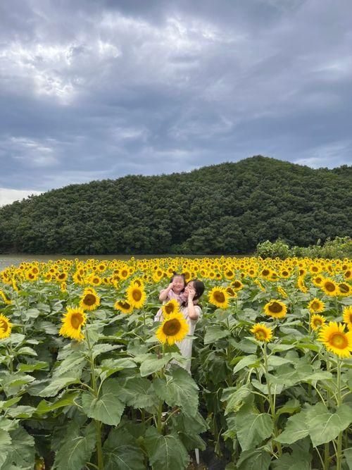 경주 카페 바실라 | 경주 해바라기 카페 23.7.23.방문