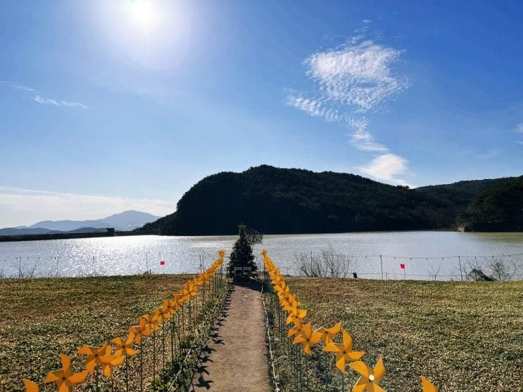 경주 하동저수지 해바라기뷰 바실라 카페