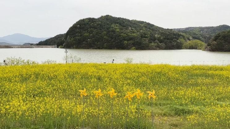 경주 카페- 바실라, 유채꽃과 해바라기 등 계절꽃 풍경뷰 맛집!...