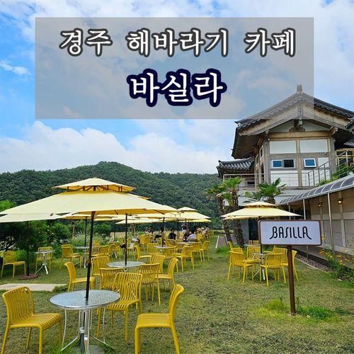 경주 바실라카페 하동저수지뷰 해바라기로 유명한 카페