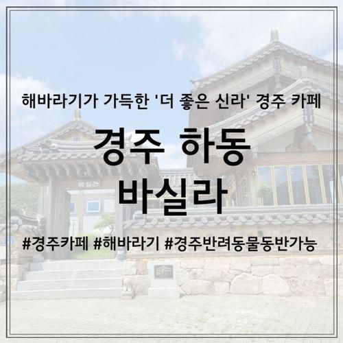 해바라기가 가득한 '더 좋은  신라' 경주 카페, 바실라