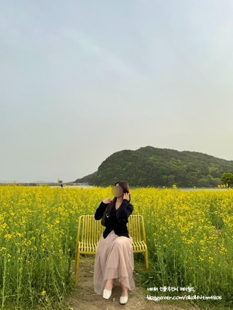 봄엔 유채꽃, 여름엔 해바라기 경주 바실라 카페