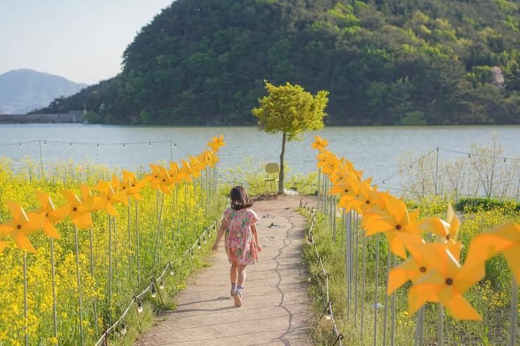 경주 4월 가볼만한 곳 - 불국사 카페 바실라 유채꽃(24.04.13...