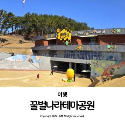 꿀벌나라테마공원 대구 근교 드라이브 경북 칠곡 아이와 가볼...