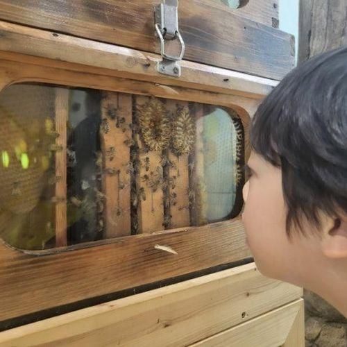 꿀벌나라 테마공원 칠곡 아이랑 가볼 만한 곳