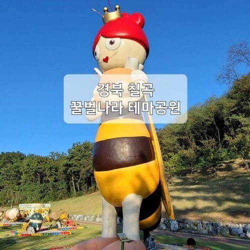 대구근교 초등체험 테마파크 경북 칠곡 꿀벌나라 테마공원