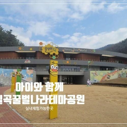 겨울방학때 가기 좋은 실내 체험이 가능한 칠곡꿀벌나라테마공원