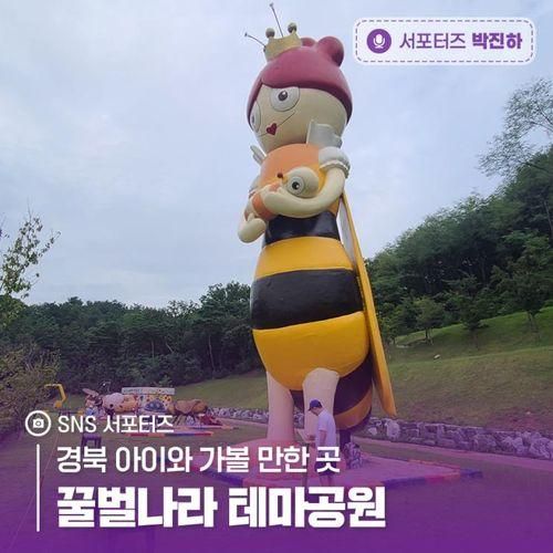 경북 아이와 가볼 만한 곳, 칠곡 꿀벌나라 테마공원