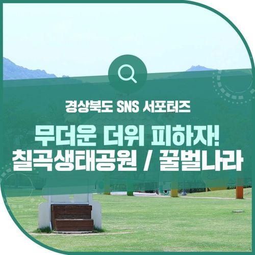 자연의 소리를 따라 칠곡보생태공원 / 꿀벌나라 테마공원 힐링