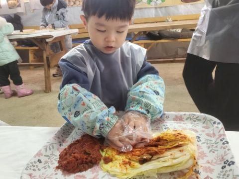 할만한 이색체험 추천 서울 강남에서 김장체험하기 [은진농장]