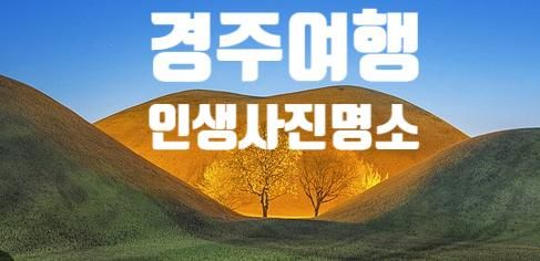 생생정보 자전거탄풍경 경주꽃길여행촬영지 국민힐링파크SNS...