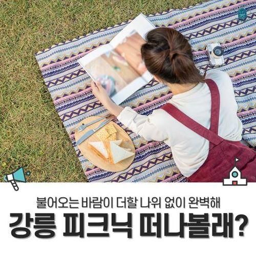 강릉 피크닉 날도 좋은데 떠나볼래?