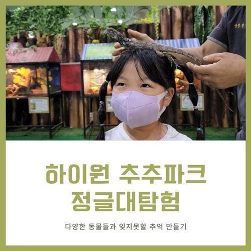 삼척 하이원 추추파크 정글대탐험 아이와 체험 할인정보