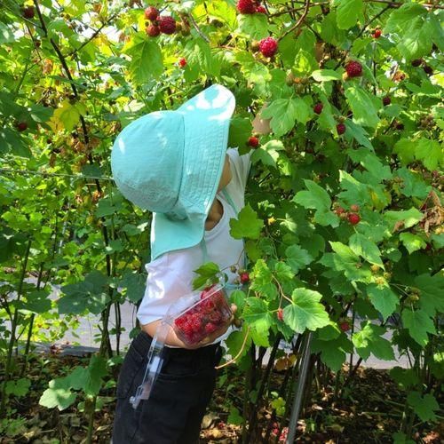 아이랑 다녀온 안성 소담 산딸기 체험농장