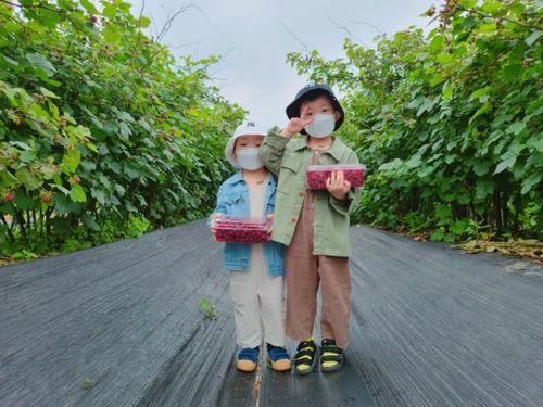 안성여행:아이와가볼만한곳 소담산딸기체험