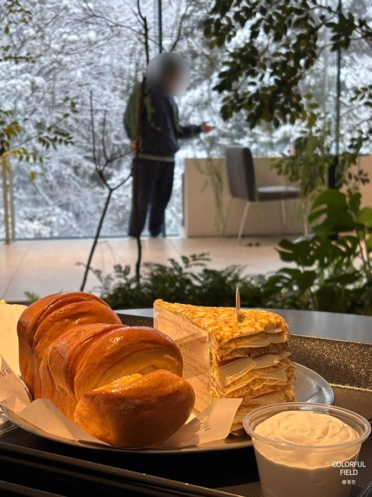 [후기] 사진 찍기 좋은 의정부 대형 카페, 아나키아 / 맛있는 빵...