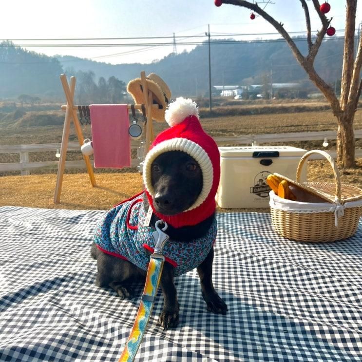 포토존 가득했던 대관 운동장 <부엉이소풍> 다녀왔어요