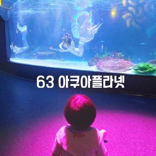63빌딩 아쿠아플라넷 전망대 서울 실내 아이와 가볼만한곳!