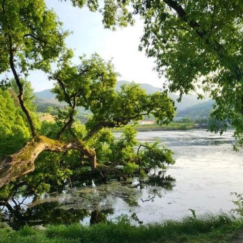 오늘의 경산[반곡지][삼성현역사문화공원][산책 추천]