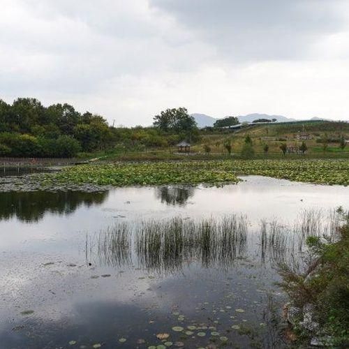 삼성현 역사 문화 공원.