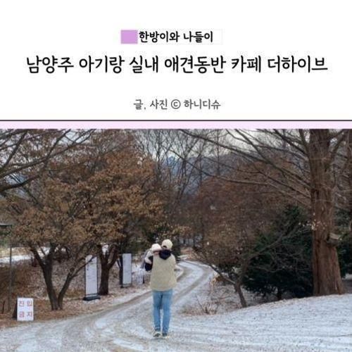 남양주 아기랑 실내 애견동반 카페 더하이브