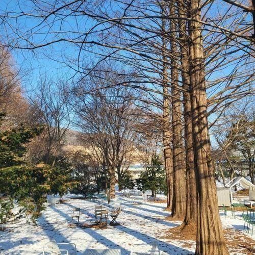 남양주 더하이브; 남양주 베이커리 카페/실내 애견동반 카페