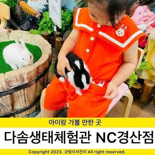 다솜생태체험관 NC경산점 토끼 좋아하는 아이와 함께 가볼...