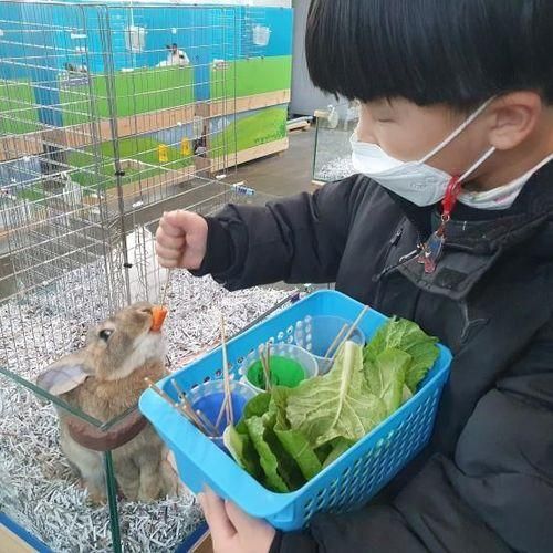 경산 아이랑 가볼만한곳 실내동물원 다솜생태체험관 NC경산점