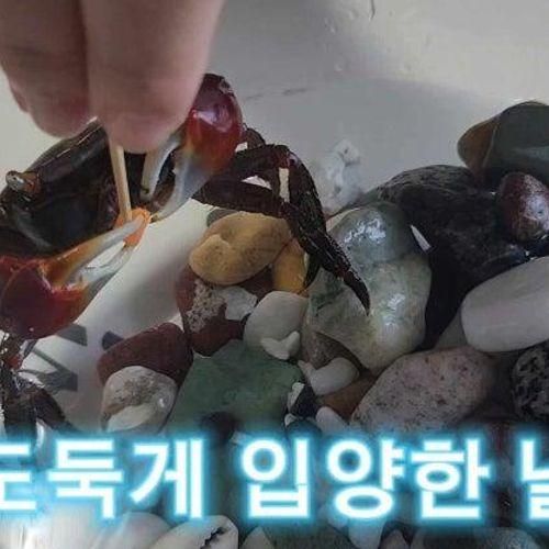 체험형 미니동물원 다솜생태체험관 경산점