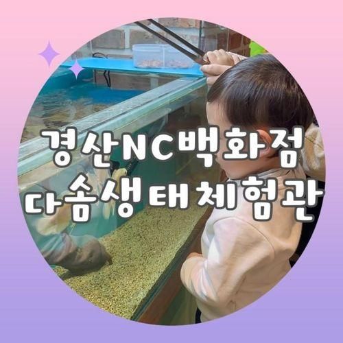 경산 NC백화점 다솜생태체험관 토끼먹이주기 경산아이랑...